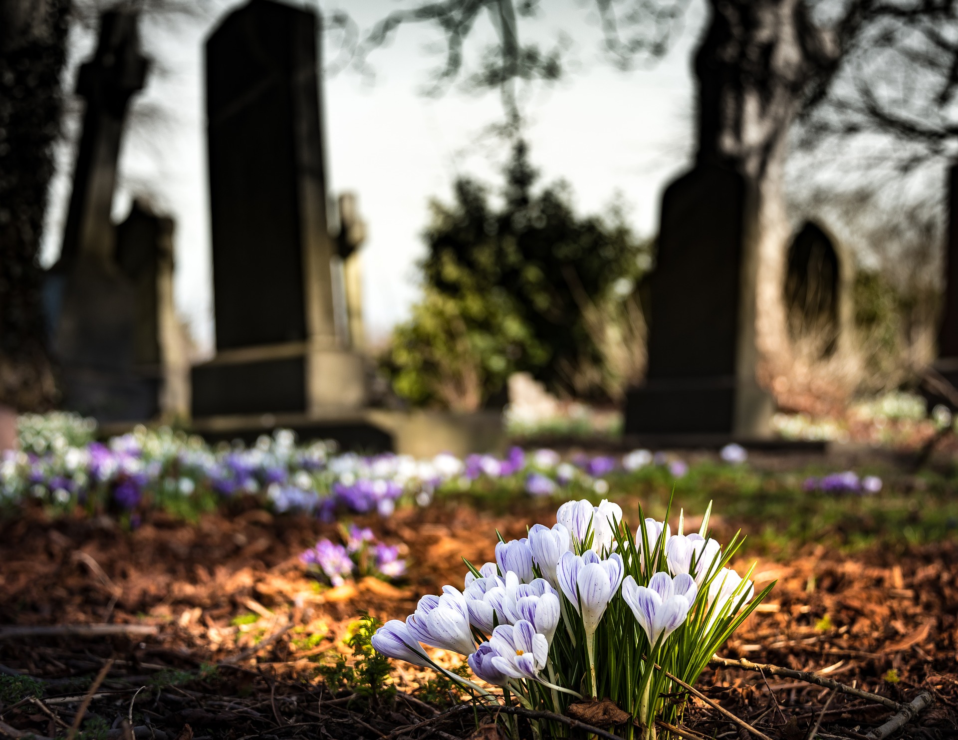 Der Tod als Teil unseres Lebens
